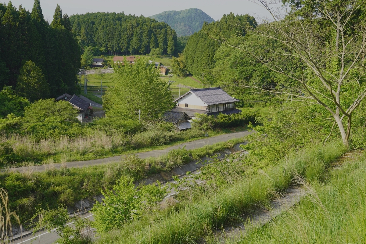 f:id:gansudegansu:20210527135527j:plain