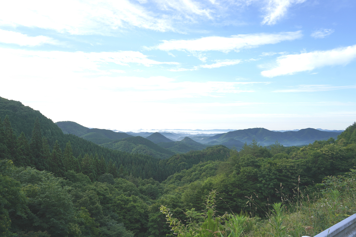 f:id:gansudegansu:20210626142509j:plain