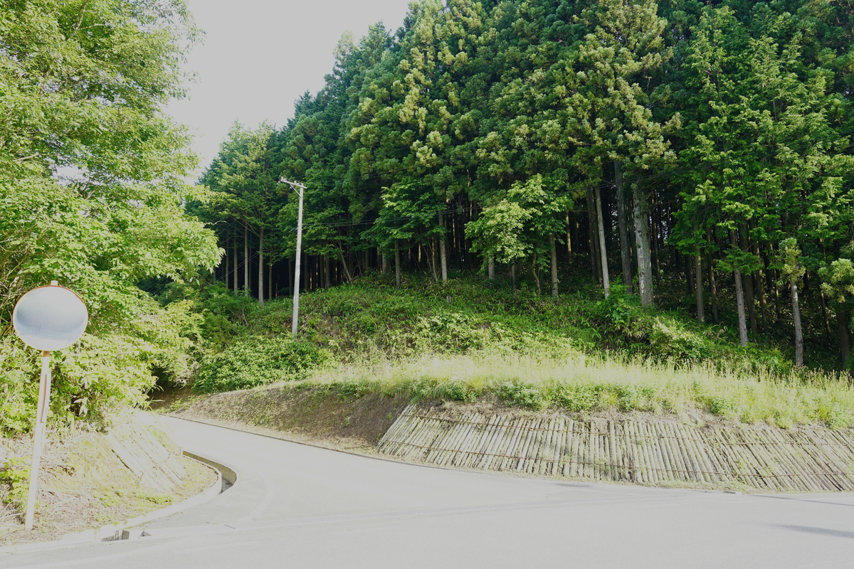 f:id:gansudegansu:20210626142615j:plain