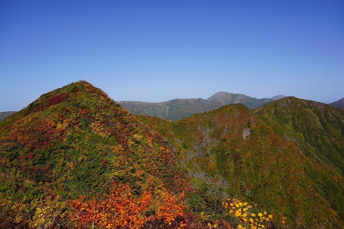 f:id:gansudegansu:20220401144637j:plain