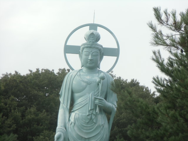 イメージ 8
