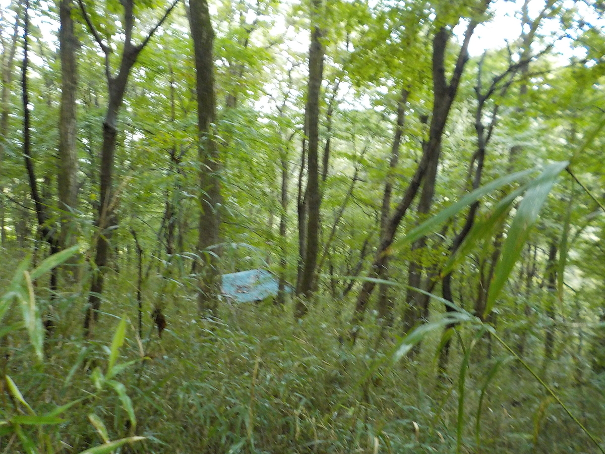 f:id:gantyan37:20200923110242j:plain f:id:gantyan37:20200923110242j:plain