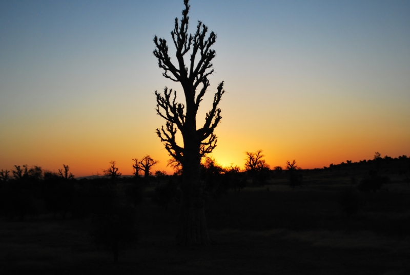 f:id:gaoose0704:20101203065800j:image