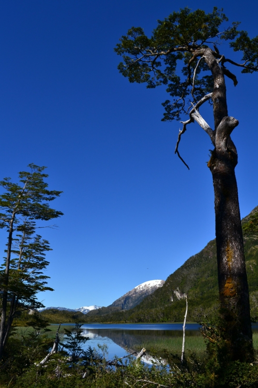 f:id:gaoose0704:20110220105150j:image f:id:gaoose0704:20110220105150j:image