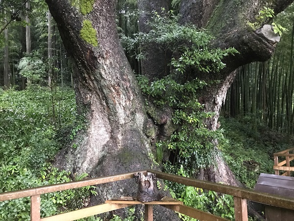 f:id:gaou2:20180927011014j:plain