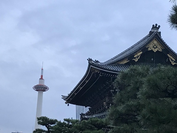 f:id:gaou2:20181011235945j:plain