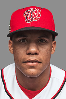 f:id:gaou2:20181031131530j:plain