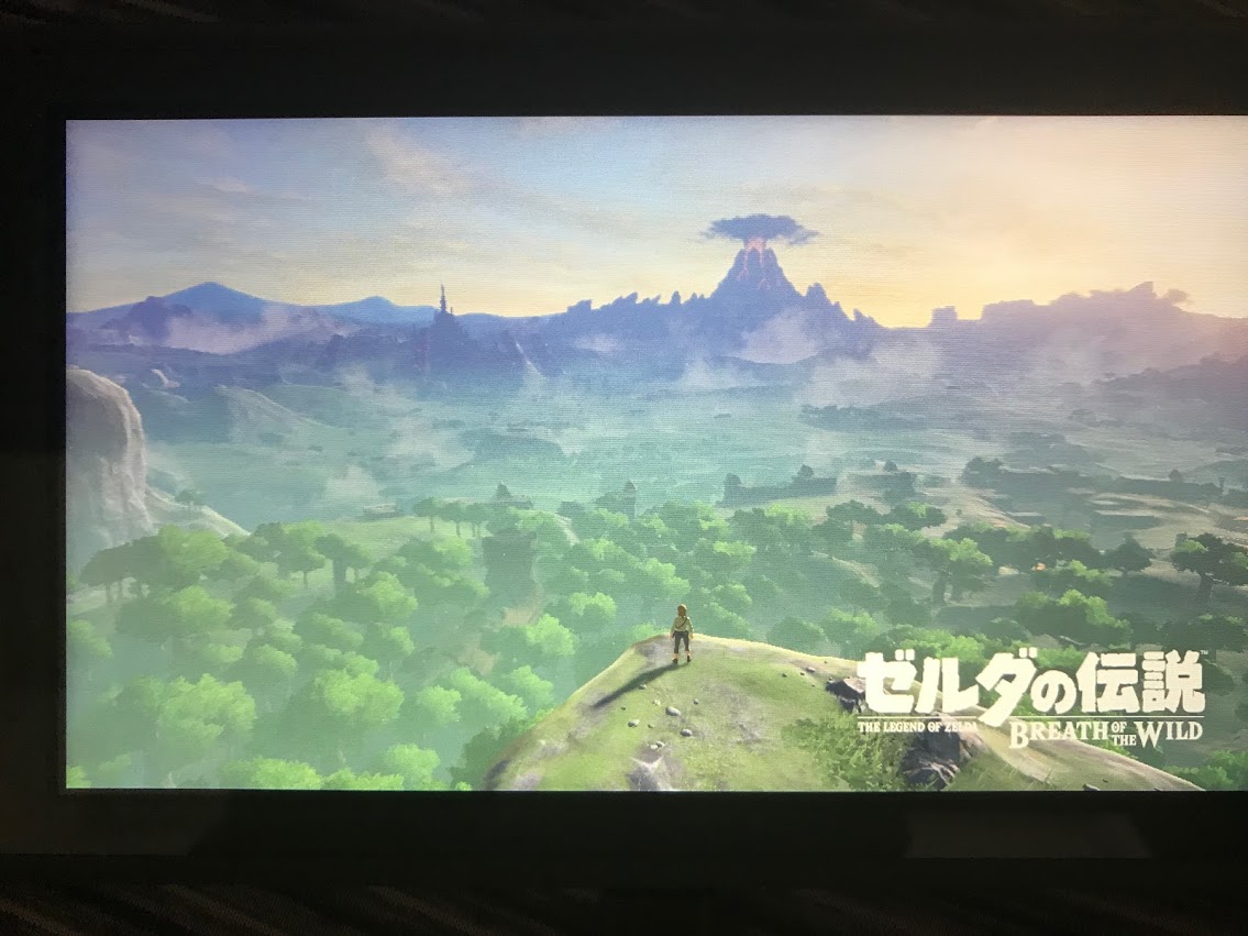 ゼルダの伝説 ブレス オブ ザ ワイルド