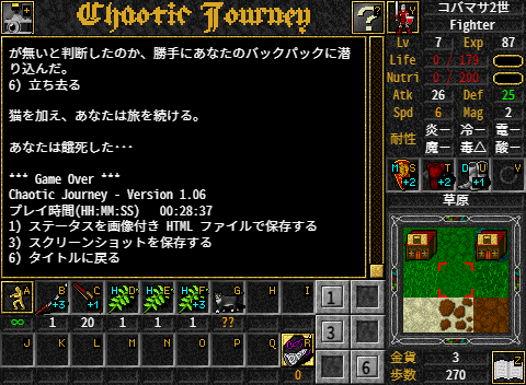 Chaotic Journey
