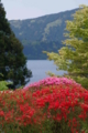 箱根山のホテル