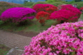 箱根山のホテル