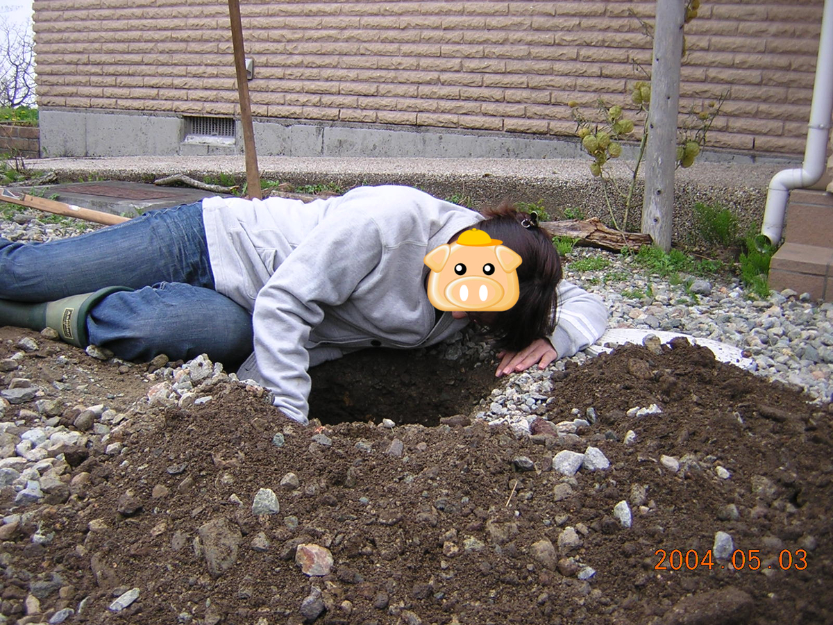 f:id:garadanikki:20040503115649j:plain