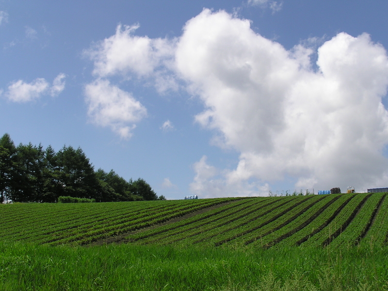 f:id:garadanikki:20050820102144j:plain