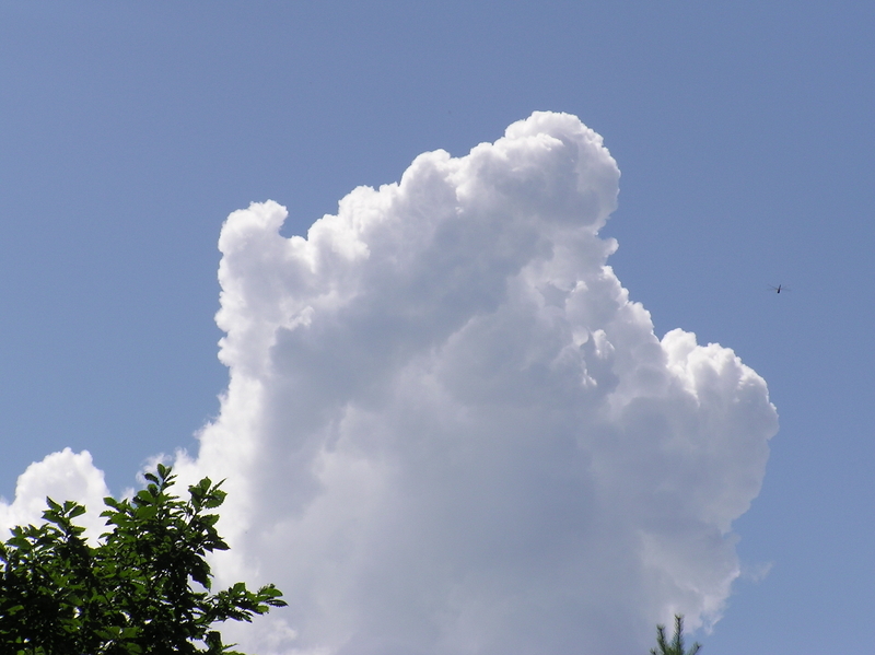 f:id:garadanikki:20050820102547j:plain