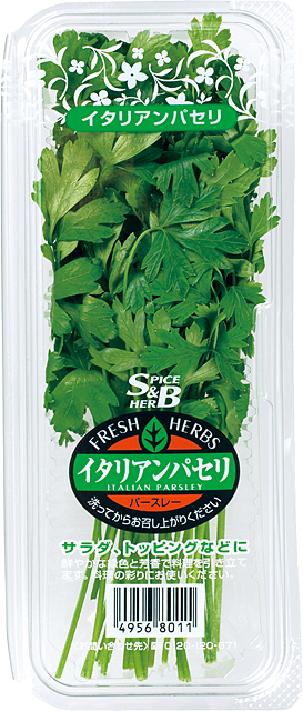 f:id:garadanikki:20060822133817j:plain