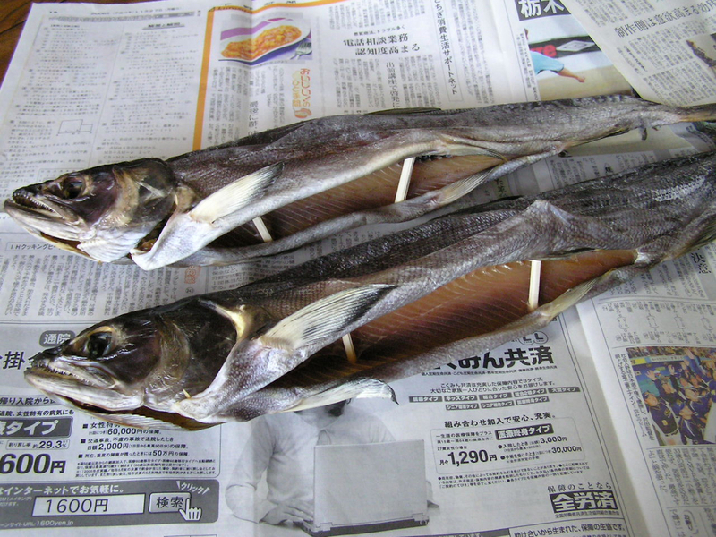 f:id:garadanikki:20061230150744j:plain