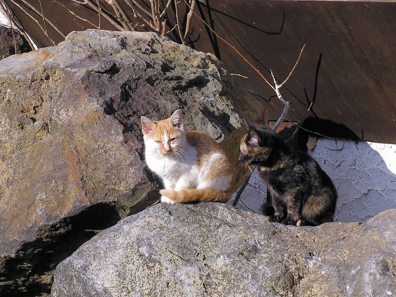 f:id:garadanikki:20070103141741j:plain