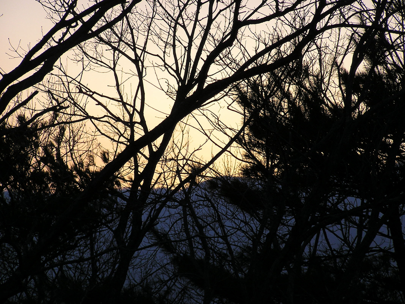 f:id:garadanikki:20070103162147j:plain