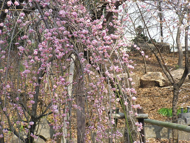 f:id:garadanikki:20080313110251j:plain