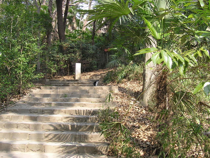 f:id:garadanikki:20080313114732j:plain