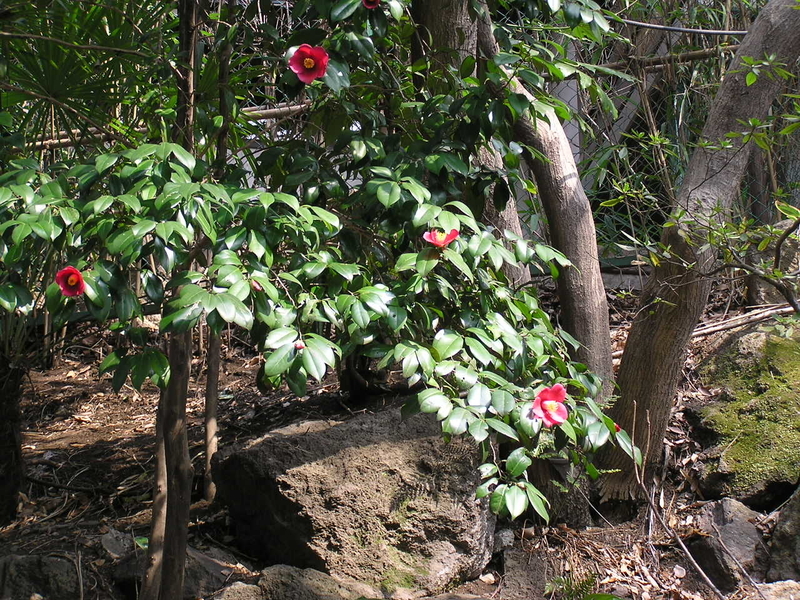 f:id:garadanikki:20080313115810j:plain