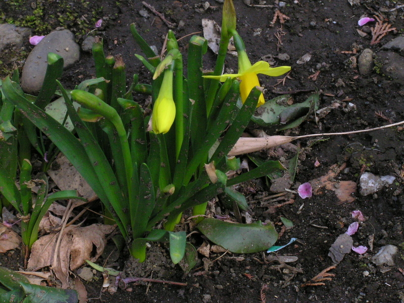 f:id:garadanikki:20080313120433j:plain