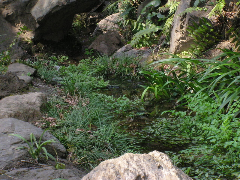 f:id:garadanikki:20080313120512j:plain