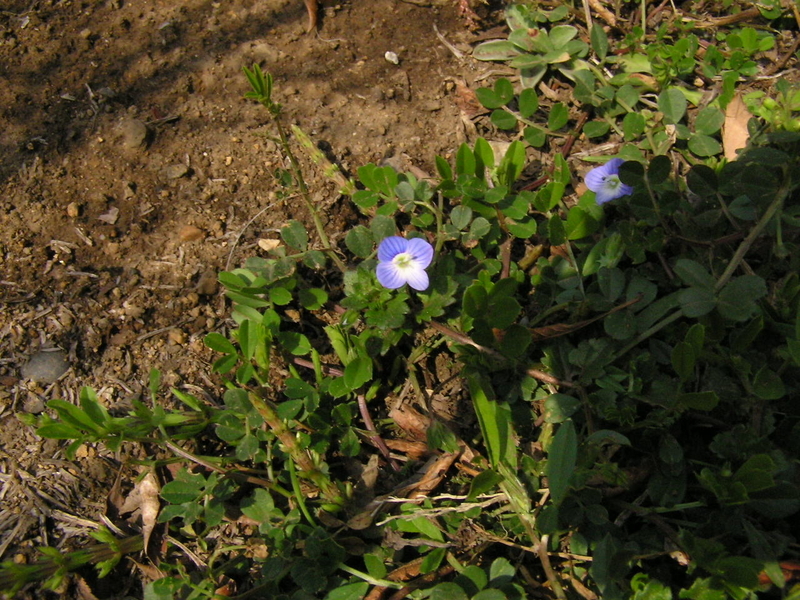 f:id:garadanikki:20080313122601j:plain