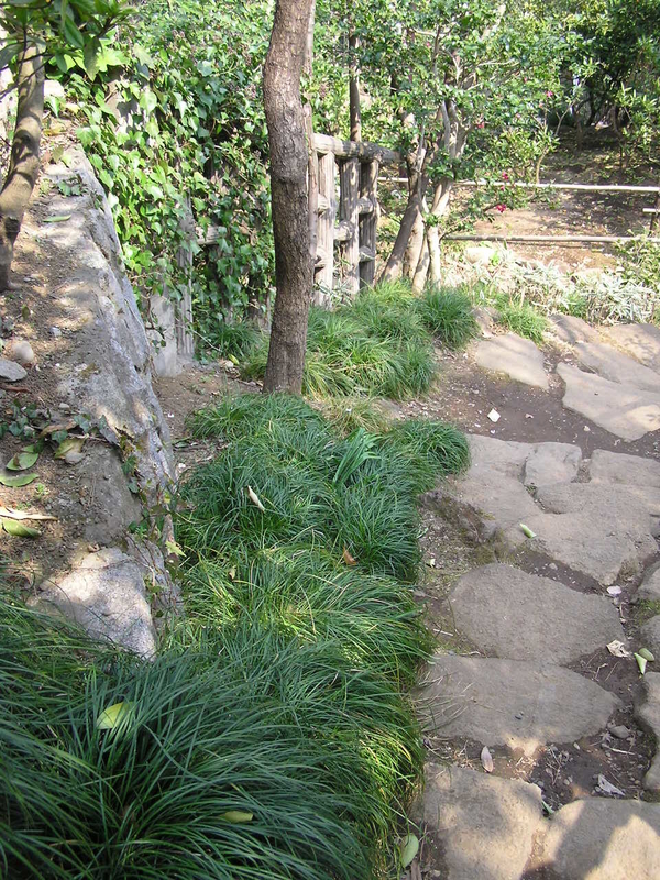 f:id:garadanikki:20080313124438j:plain