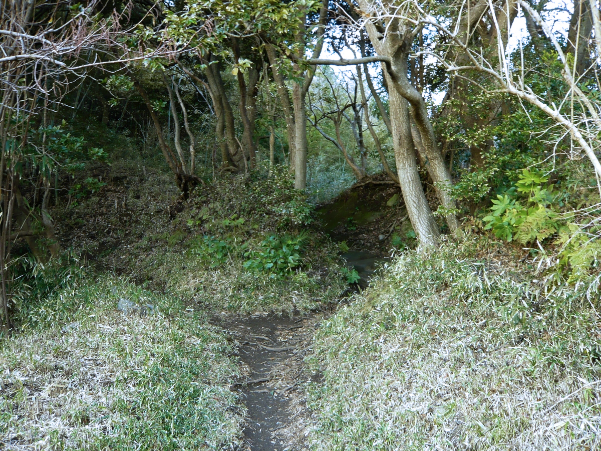 f:id:garadanikki:20120208161407j:plain