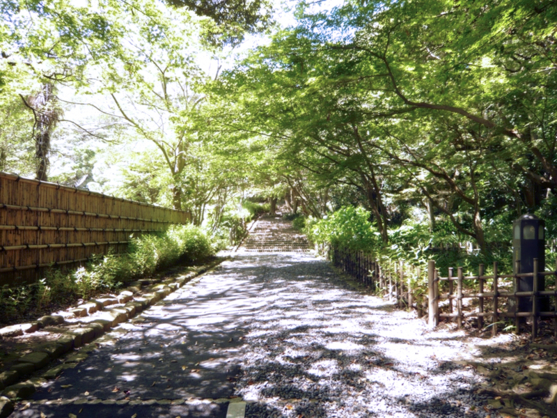 f:id:garadanikki:20120731125819j:plain