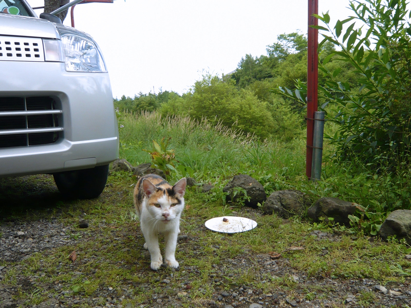 f:id:garadanikki:20120814141637j:plain