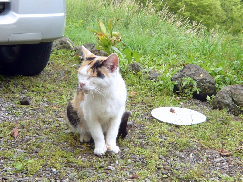 f:id:garadanikki:20120814141645j:plain