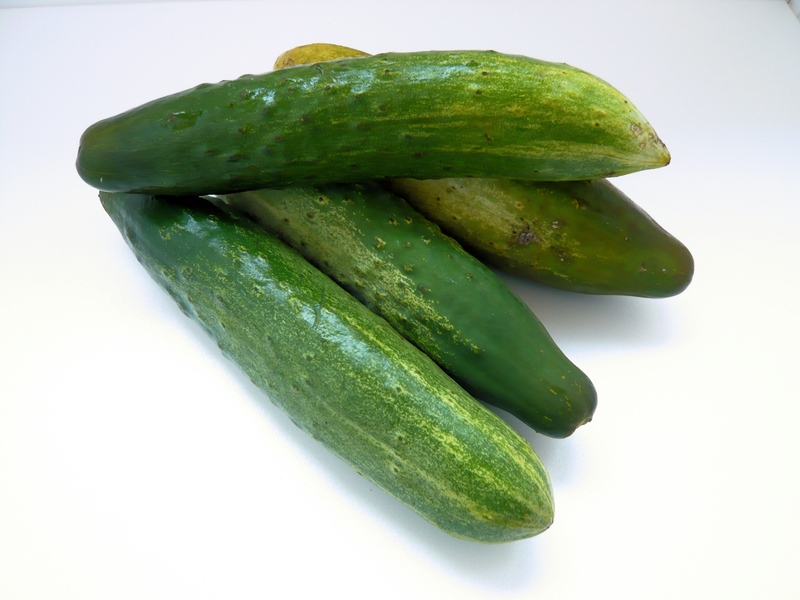 f:id:garadanikki:20120820083349j:plain