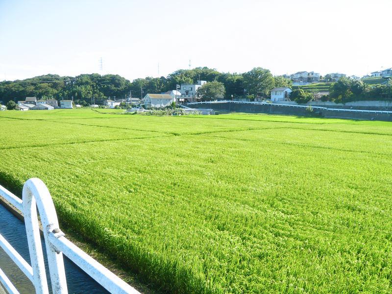 f:id:garadanikki:20120821153619j:plain