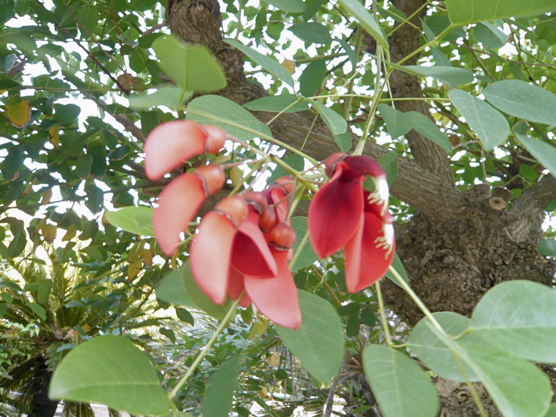 f:id:garadanikki:20120821175005j:plain