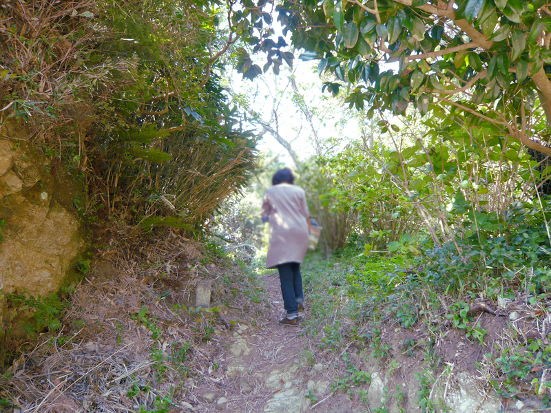 f:id:garadanikki:20121016131354j:plain