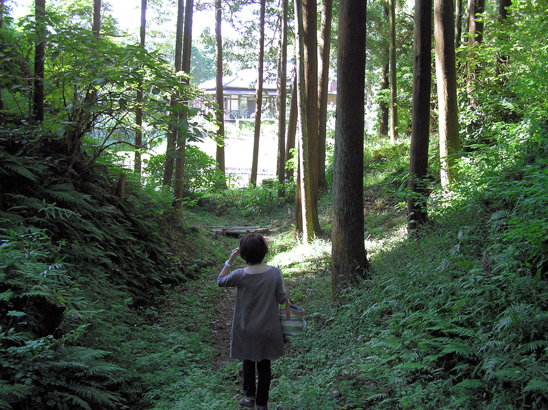 f:id:garadanikki:20121016132341j:plain