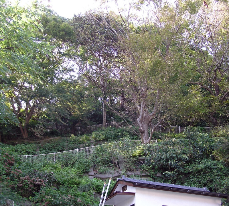 f:id:garadanikki:20121020134736j:plain