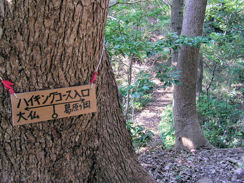 f:id:garadanikki:20121020135341j:plain
