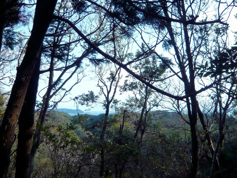 f:id:garadanikki:20121020145218j:plain