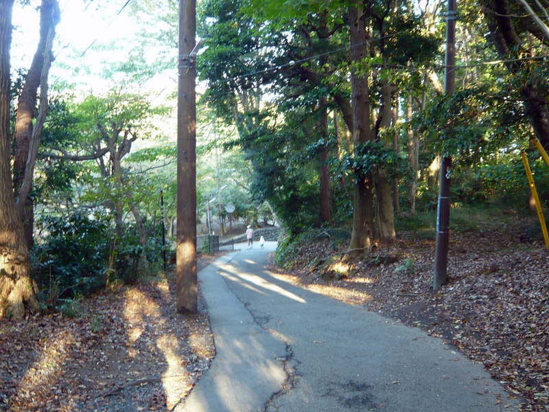 f:id:garadanikki:20121020152130j:plain