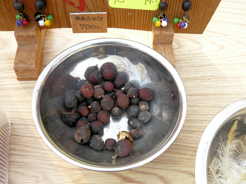 f:id:garadanikki:20121020155154j:plain