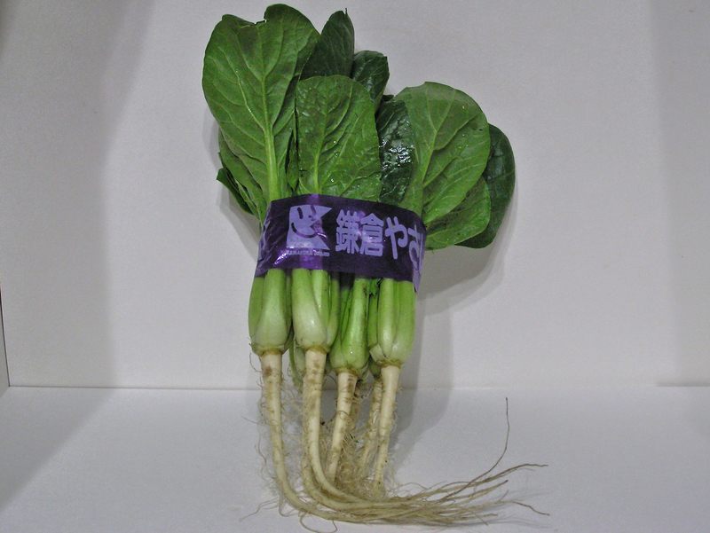 f:id:garadanikki:20121228175210j:plain