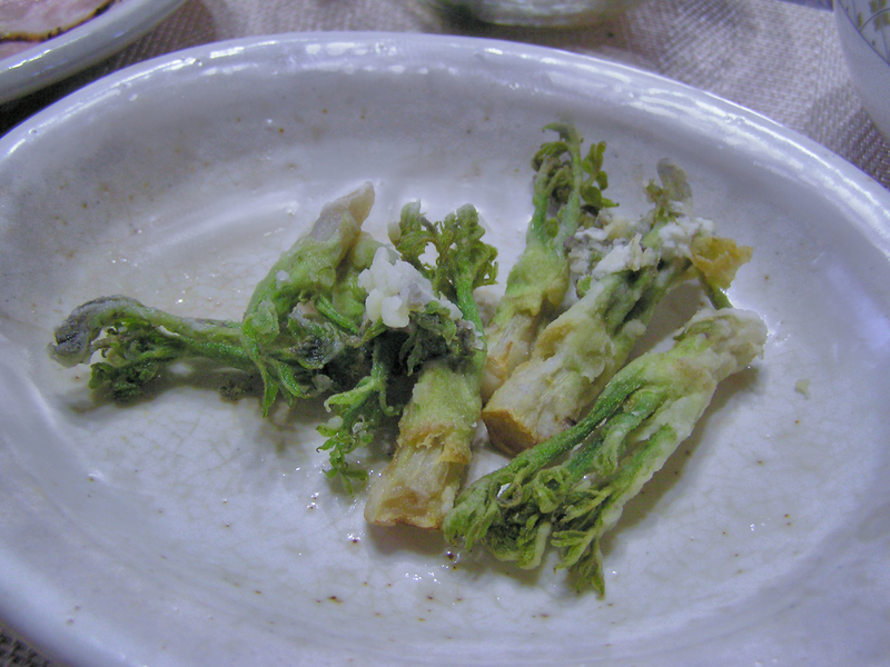f:id:garadanikki:20130224164418j:plain