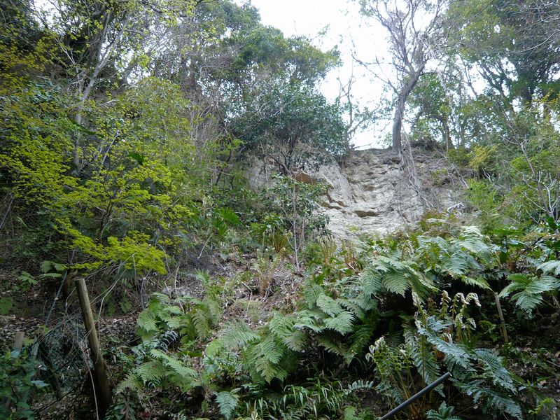 f:id:garadanikki:20130320141147j:plain