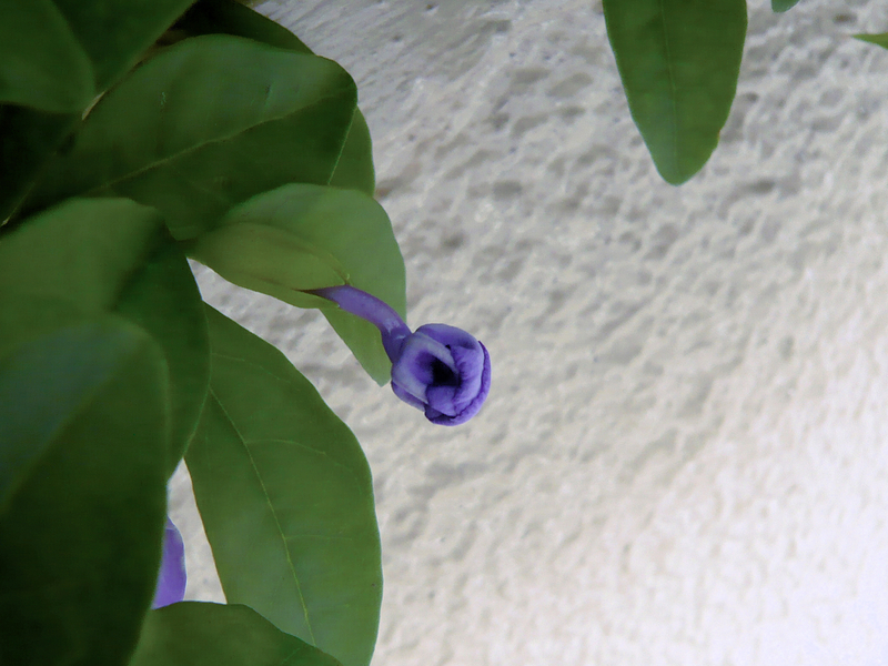 f:id:garadanikki:20130516142840j:plain