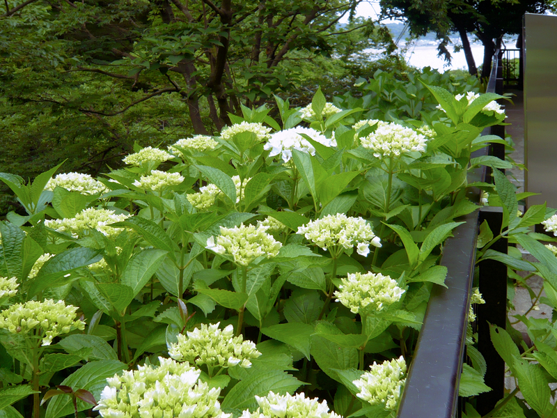 f:id:garadanikki:20130528114727j:plain