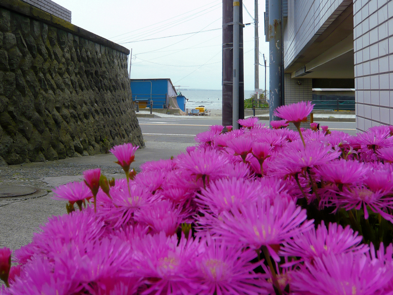 f:id:garadanikki:20130528120812j:plain
