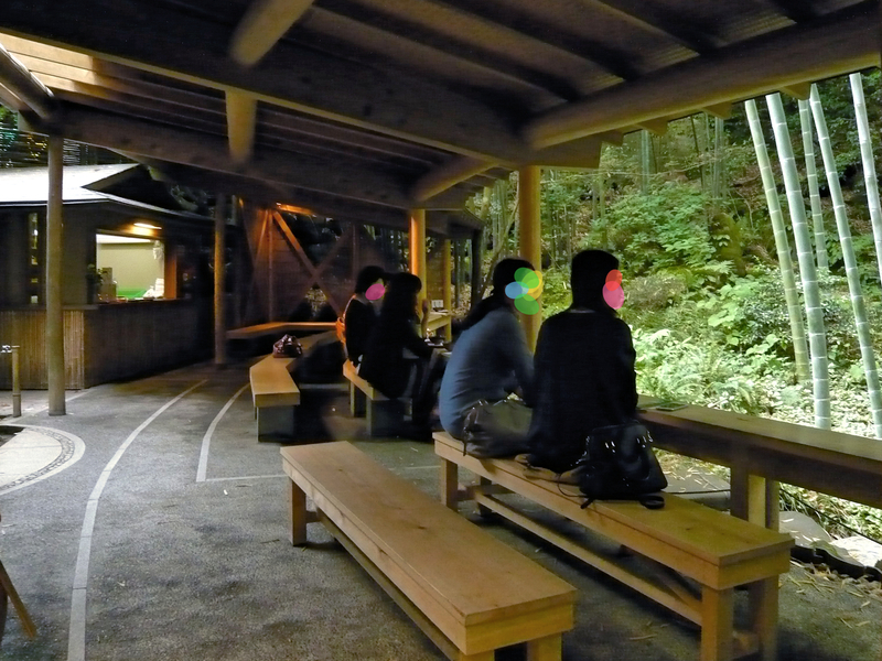 f:id:garadanikki:20130528154528j:plain